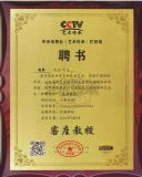 中央电视台艺术栏目组客座教授