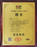 中央电视台艺术栏目组客座教授曳岚